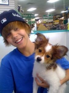 the name of of his dog is sam or sammy and the type is a papillion....
