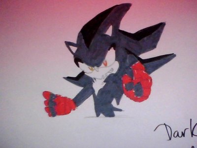  name: dark the hedgehog age: 20 he lives with no one he was in pag-ibig with someone but she got shot and died now he is filled with angry and rage. he hates shadow the hedgehog most because he is like shadow but worst and he is stronger pic of him under and yes u can use him