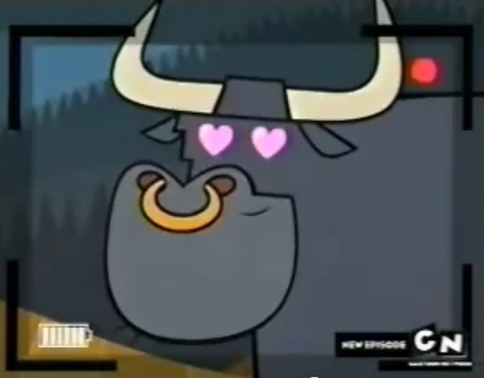  that ox of stier (what ever it's supposed to be) that fell in love with him on celebrity manhunt