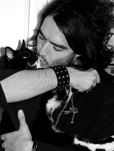  i'd be Russell Brand's cat Morrissey!!! If আপনি think about it, that damn cat gets everything!!! If he kisses her like that all the time, i'd kill to be that cat!!! হাঃ হাঃ হাঃ