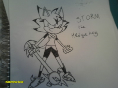  Name:Storm the Hedgie. Age:16 Crush: I dunno. XD Abilities: Is the name Storm a hint? XD Also, she can run moderately fast. ( A little slower than Blaze ) She has two staves. Eye color: Orange. vacht, bont color: Greenish Aqua. Hair color: Black at the tips of all her spines and hair is sorta like tails. ( First spine is pointed upward, seconde down, and third up again.) Anything Else: She likes to be alone, rarely smiles, and is blunt and kind of rude.
