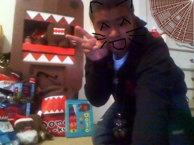  i have a pic with domo! does that count?