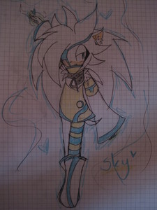 Name; Sky The Hedgehog
Age; 17
Powers; Can Fly, like Silver
Family; Silver The Hedgehog (brother)
Motto; "Fool!" 
Likes; Listening music and playing videogames..Sleeping xD
Hates; Works!
Love; One lynx named; Kasumi, but called Cinderella.
***
This is very old picture and very old charter, but yeah... xD I wanted he would be in your team 83 I hope so!
