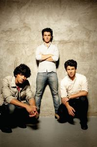  I 사랑 the Jonas Brothers , they are my FAVE band . I kinda like Selena and Demi too . Miley has become a diva