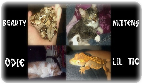  Otay! These are my pets. :)