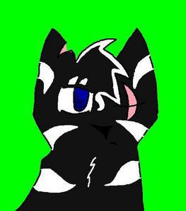  Clan: Not in a clan Gender: Male Rank:Rouge Mate:Nica Kits:Corrin(Blackpaw of shadowclan) Mother:Rose Father:Unknown Kittypet, atau ex-kittypet:No Rouge, atau ex-rouge: Yes Rouge Loner, atau ex-loner:No Fur:Black with white stripes and a white tail tip Eyes: blue Details (scars, spots, tabby, tortiseshell, ext.): One black spot on forehead,many scars but one horrid scar accros his eye Name:Claw If leader, apprentice, atau kit, warrior name: Favorate prey:Crow Story:He was born as a rouge and wassent always as mean as he is today.He also wassent called Claw back then.His name was Ollie.He grew up fine until the hari the wild Kucing came.A group of Shadowclan Kucing came and took it all away from him.His mate,Nica was killed as he tried to protect her and his son,corrin was taken sejak the cats.From that day,he called himself claw and began to hate wild cats.He bacame one of the most unfriendly Kucing of all. Personality-Mean and very rude.