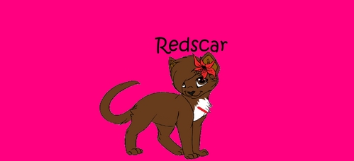  My character, Redscar, is who I am donating. Please don't claim her. She belongs to Redstarluv on YouTube, and Shaquita-Ann on Fanpop. She dies in the battle with RiverClan when Redtail dies. Thank you.