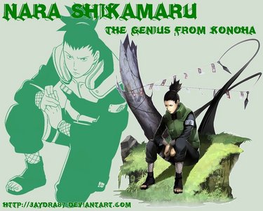 Shikamaru!!!!!!!!!

-He is super smart
-He doesnt care what others think
-He is scared of women
-He is an awesome friend to Chouji. Really, if Ino and Shikamaru werent there, Chouji would have no one.
-I asked for a Shikamaru doll for my birthday and Christmas and still havent gotten one -_-
-I have Shikamaru as my background.
-All my friends think I am crazy because I obsess over a 2D character........ 