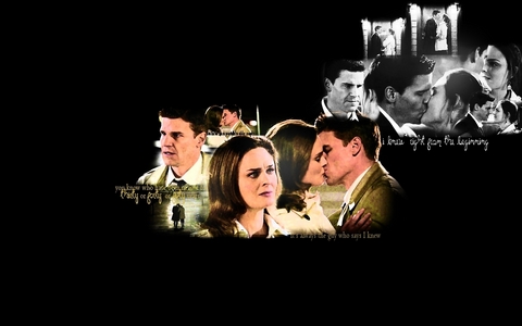  My OTP is Brennan and Booth from the ipakita Bones. And their EPIC moment was in the 100th episode: [b]Booth[/b]: "I'm the gambler. I believe in giving this a chance. Look, I wanna give this a shot." [b]Brennan[/b]: "You thought you were protecting me, but you're the one who needs protecting." [b]Booth[/b]: "Just give it a chance..that's all I'm asking." [b]Brennan[/b]: "No, you sinabi it yourself; the definition of insanity is doing the same thing over and over again and expecting a different outcome." [b]Booth[/b]: "Well, then let's go for a different outcome here, alright? Let's just - hear me out, alright? You know when you talk to older couples who, you know, have been in pag-ibig for 30 or 40 or 50 years, alright, it's always the guy who says "I knew." I knew. Right from the beginning. [u]I'm that guy[/u]. Bones, I'm that guy. I know." [b]Brennan[/b]: "I am not a gambler; I'm a scientist. I can't change. I don't know how. I don't know how."