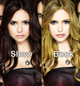  they cant have everything the same as the book because it would get boring the vampire diaries TV ipakita is sooooooooo much better then the books and it doesnt matter elena has different coloured hair and eyes and darker skin and some people have different last names.i couldn't imagine anyone else for the role of elena nina plays her soooooooooo well and is as hot has they describe her in the book.