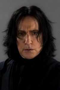 Severus Snape.

Without him, there would have been no saga. Because of his love for Lily, he had dared ask Voldemort to spare her. The Dark Lord agreed, hence giving Lily the choice between dying or letting her son die. She made a choice, sacrificing herself. Which sacrifice triggered off the end of the Dark Lord and the survival of her son and the blood protection over him. All this because of Severus' love for her...

Which made him the 2nd most important character in the whole saga.

He's a very complex character. He's the embodiment that people can change, whatever the mistakes they may have made in their life. He's a figure of sacrifice and redemption, out of love, unrequited, unconditional love. 

It takes a special brand of courage to love Severus but I do. I even love him because of his flaws and frailties, besides his qualities (brilliance, wit, bravery, devotion, loyalty, etc.) I write fanfiction focused on him because his emotions and feelings span most of the human emotions and feelings. He's a great character to play with and write about. 

He lived like a Slytherin, worked like a Ravenclaw, loved like a Hufflepuff and died like a Gryffindor.

And needless to say, that Alan Rickman did a wonderful job with this character. He gave him flesh and blood (and, let's say it, a lot of sexiness too...) I hope he will get an Academy Award for his work as Severus Snape. He truly deserves it.