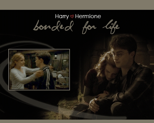 harry/hermione totally !!!

LOVE NEED NOT always show itself outside predominantly. Love can be expressed silently too. love is there deep within for these two even though they don’t realise it. And not everyone can see it.sometimes even the ones in love don’t realise it.That’s what I have seen and I believe and that’s what makes me fond of this couple, that’s what makes me a harmony fan!!!          - emilykuru (me myself)
hermione and harry are inseparable and they truly are made for each other. hermione and harry share a deep bond which they themselves fail to recognize!

more than ginny hermione deserves harry.she really loved him for his character and not his fame like ginny.it is true that hermione ended up with ron, but according to me it is always that HARRY AND HERMIONE ARE MADE FOR EACH OTHER!!

