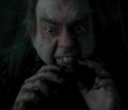  I seriously hate that disgusting mouse..I mean i hater peter pettigrew!