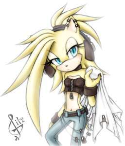 She is really a character so...................  Name:Gitz the Hedgehog
Age:16 or 18
Likes:Music,parties,Shadow,and candy.
Dislikes:People that thinks they are better than her,people that doesn`t like her outfit,and spiders.