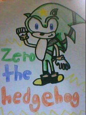 name:Zero the hedgehog
age:14
gender:male