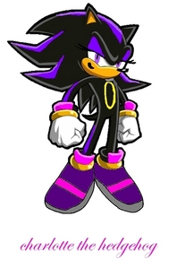 my first character deserves a chance!


name: charlotte
age: 17
gender: female
species: hedgehog


btw, she is the gf of shadow the hedgehog, and when she was like four or five, she left her home planet because of an explosion of a war that invaded the entire planet. she was then sent to mobius and lived in a forest till she was 17, then met shadow.



*btw, plz no insults about her looking kinda like shadow! cause i hate hearing that crap*