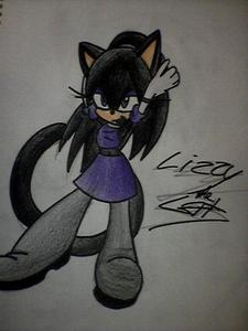 Age: 16 Type:CAT Bad, good または neutral:EVIL! Name:Lizzy the cat