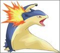mine is typhlosion cuz he is cute!   he is also powerful!       













                     Awesomeitudeness!