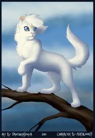  Sweetbreeze Beautiful white she green eyes has a connection to starclan maplecan