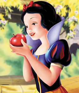  1.Snow White 2.Cinderella 3.Mulan 4.Ariel 5.Rapunzel 6.Belle 7.Jasmine 8.Aurora 9.Tiana 10.Pocahontas