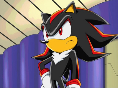 Mine was Shadow from Sonic X. I loved Shadow and I still do, but sadly, I don't watch Sonic X anymroe recognizing now that it's pretty childish and it deserved a lot of hate especially with the new character Chris.