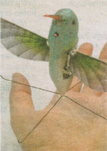  This is a newspaper illustration to an artikulo about the new hummingbird SPYCAM. The angles involved, and the colours (the blue was brighter in the original article), make it an interesting picture to draw.
