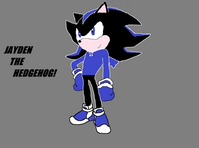  Name: Jayden The Hedgehog Age: 16 A Few Things He Likes: Making people laugh, Hanging round with others, skatboaring, surfing, riding moterbikes.