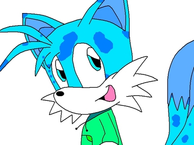  ok Name: spot the renard age: 13 likes: shadow and amy dislikes: evil computer thingy info: spots is a funny fox. he loves making people laugh and making jokes. he is not good at battle but is a loyal friend. has a quick crush on amy rose