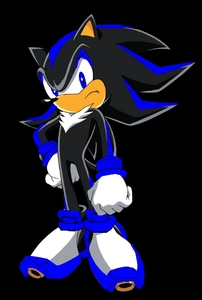 strike the hedgehog age:13 temper: strong its very hard to get him mad he is like shadow