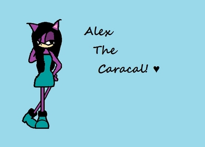  Name: Alexis Age: 15/16 Type: Caracal Bad Good または Natural: Naturally Natural :D (That was the worst joke ever!)