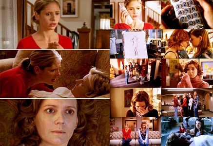  Buffy the Vampire Slayer, Season 5, "The Body." The greatest uur of televisie ever. The only episode of any toon to every have me crying almost the whole time. I think it was the BEST acting I've ever seen!