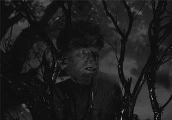  Halloween(1978)or the নেকড়ে Man(1941)