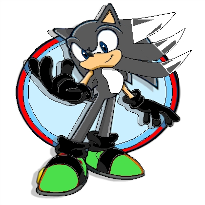  his name is booster the hedgehog he can go as faster then sonic and he can fly he has jet boots he is 15 like me xD and is funny and makes the bast of times