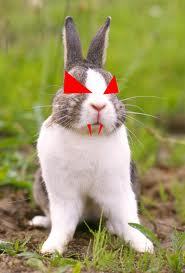  ummm...well...here let me explain bunnies r cute rabbits r well ahhhh!