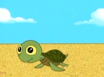 I love this turtle :D