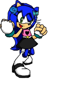  Name: Rose ' Galaxy ' Hedgehog gender: Female Species: Hedgehog age: 16 Bio: was seperated from family when little and was taken in with rubah, fox family for awhle until she went on her own Crush: Sonic ( anymore info anda need to know ask ^w^ )
