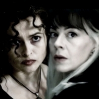  I'm a girl but i have a huge crush on Bellatrix of course,she is my goddess<3 I tình yêu HER SO MUCH,she is the best witch ever,so crazy and sexy!!!!Also i got to grow a crush on her sister Narcissa after watching the DH part 1 movie!!!