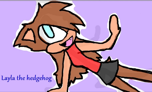 Name : Layla Age : 14 Bad / Good / Nautral : Good Type : hedgie btw her eye colour is purple