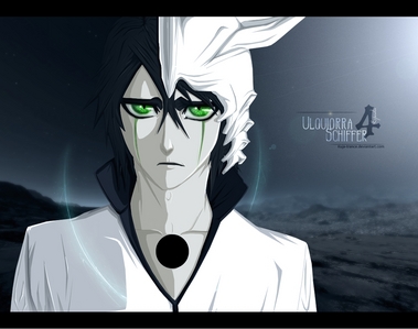 Ulquiorra cause he's awesome,cool powers,cute and a lot more