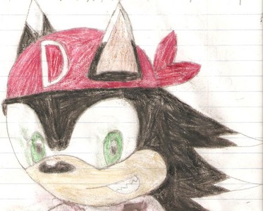 Name: Shock
Birth name: Duji (Doo-jee)
Age: 10 & 1 1/2 (11 in Sep.)
DOB: 9/17/2000
Siblings: Gra the Hedgehog
Parents: Dead
Eyes: Green
Fur color: Black & white
Wears: red bandanna, white gloves with red designs on them. And red and white shoes.
Power: Electricity
Abilities: He can strike his enemies with several lightning bolts from the sky. He can fly using his electrical powers, create an electrical force field, channel electricity through any solid thing that doesn't break, and an electric whip. And simply zap you with electricity.
Weakness: Water

He likes pizza, swimming, shocking the heck outta evil with his gloves. He was born with electrical powers--the gloves just help him control them better. The "D" on his bandanna stands for his real name. The bandanna was also given to him by his parents. He can suck the electricity from anything electric. Ironically, Shock is most vulnerable when he attacks. If his powers are neutral, water won't hurt him. However, anytime he uses his powers, water will get him every time. If he does get wet while not using his powers, he has to wait til he is fully dry. Otherwise, he'll get shocked and kill himself. He's fast when he fly's, but not as fast as Sonic.

Sadly, his parents were killed by an evil being in the form of a hedgehog, named Malice the Wicked, when he was almost 10. He is an only child, and lives with his friend Gra (short for Gravity) the Hedgehog's family. The sad part is that, even though Shock hates evil, he is forced to do just that. All his life, he had trouble controlling his powers. Sometimes, his powers would go outta control, and end up hurting someone without meaning to. All he wanted was to be a hero like Sonic, but knew he had get his powers under control somehow. A year ago, Malice (not knowing that he killed his parents) gave Shock these special gloves that would help control his powers. But it was all a trick. After Shock put the gloves on, Malice zapped him with dark electricity, and caused him to lose his memory. He now believes he is Evil itself!

But Malice knew there might be a chance he could get his memory back. Before he gave Shock the gloves, he put a small (but VERY powerful) bomb inside one of them. If Shock ever did get his memory back and refused to be evil, the electric bomb within the gloves would activate and destroy everything within a 10mi radius--himself included. He is unable to take the glove off, cause they are permanently linked to his wrists.

Can Shock ever be able to regain his true memory? Will he ever break free? Or forever go against his true nature?