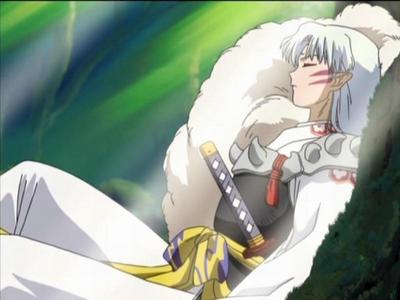  A shabiki fiction scenario: in a battle Sesshomaru badly injured his head and developed a case of amnesia, here comes Inuyasha and gang who discover him lying unconscious in the woods, how would the story go?