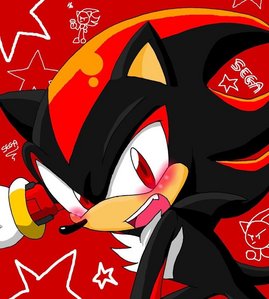  heneeds someone to talk to instead being the lonely dark hedgehog. someone who likes him alot または something like THAT! WHY SHOULD I CARE THERE'S NO DOUBT IM ALONE, BECUASE I HATE ALMOST EVERYBODY IN MY SCHOOL!