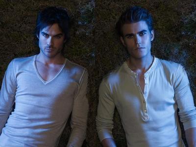  Damon and Stefan Salvatore from The Vampire Diaries. <3