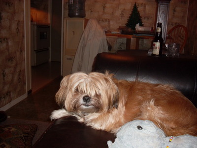  9 i'd say. Very cute...looks like a good, loyal dog. :)This is my Mika-10 mwaka old lhasa apso.