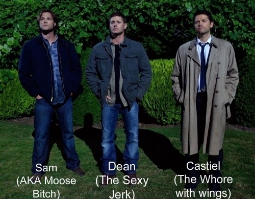 OMG no that would be like replacing Jared and Jensen with some other actors Misha is part of the show now and the SPN family there is no other actor who could pull off the role of castiel Misha does it perfectly I couldn't imagine anyone else being cute adorable confused Cas but him and he has a great bond with the guys and I don't think the guys would let misha go :)