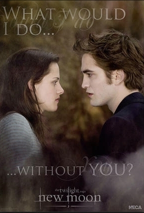 I get that alot at my school to. the majority of the time the haters didnt read the book so they will never no the greatness of the story. and some of them have read the books and just didnt seem interesting so the think that the twilight fans have the more hurtful comments and that we are crazy but the truth is we are just defending ourselves so they have no right to say that stuff. what i normally do is ignore them and if it does get to much i get in there face and tell them to knock it off but most of the time i ignore them. also tell your counselor about it or and adult about it and they can help you ive done it alot as well. but i know exactly how you feel. 