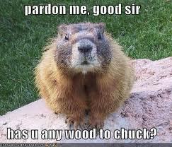  as much wood as a woodchuck could chuck if a wood chuck could chuck...could?