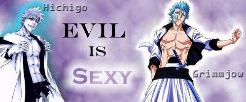  i have 3 fave characters. grimmjow toshiro and hichigo but this is one of my fave pics