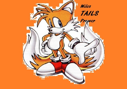 I know people hate Yoshi (which they should get lost) BUT C'MON! WHY DO YOU FREAKIN' PEOPLE HATE TAILS!?!