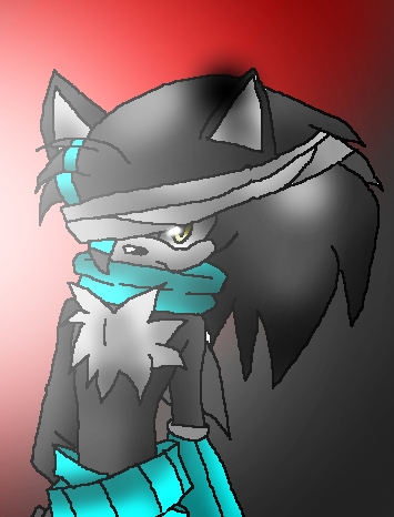  here ya go its not new but one of my Fcs :3 Name:yuki the hedgehog Age:17 u can do the rest X3 laters!